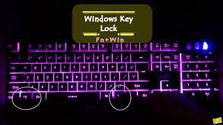 Lock/Unlock Windows Key in RedGear Keyboard or mouse