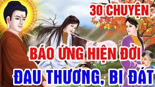 30 Chuyện Phật Giáo Nhân Quả, BÁO ỨNG HIỆN ĐỜI _ Đầu Thai Đòi Nợ Tiền Kiếp | Gieo Nhân Gặt Quả