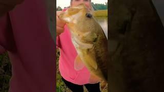 Smallest fish challenge #fishing #shorts #viral #fish #pondfishing #adventureswithhobbs #giveaway