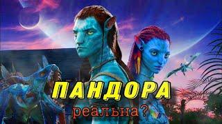 Аватар в реальной жизни | Планета «Пандора» | Что? Как? и Где?