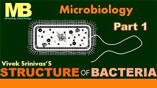 STRUCTURE OF BACTERIA | Part 1 | Microbiology | Vivek Srinivas | #Bacteriology