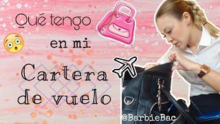 Mi CARTERA de VUELO -Barbiebac