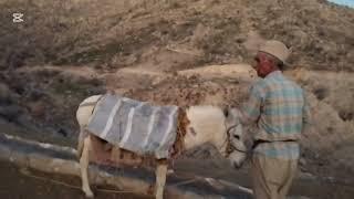 آب رسانی به گله‌های قشقایی: سفر سخت با الاغ و دبه  Watering the Qashqai Flocks.
