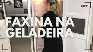 COMO LIMPAR GELADEIRA POR DENTRO | FLÁVIA FERRARI