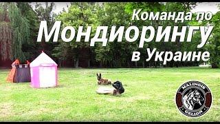 Тренировка по Мондиорингу, Виталий Голота с командой, УДЦ "Гелион"