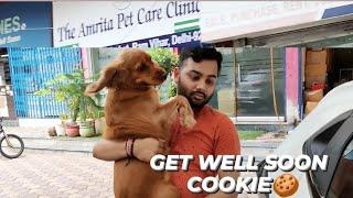 Cookie ko suddenly hospital laana pada  l Marshika Chauhan Vlogs l #dailyvlog #dog #pets