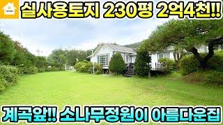 2억4천 특급매물!! 실사용토지 230평! 소나무 정원이 아름다운 양평전원주택[NO.24427번] 양평전원주택급매물 홍천전원주택급매물