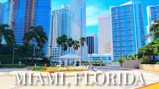 Miami Florida 4K Scenic Dash Tour