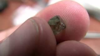 1 42ct green octahedron rough diamond