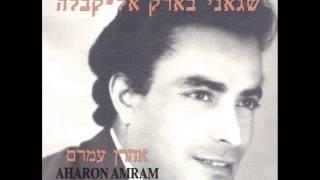 אהרן עמרם חלא גדיד Aharon Amram