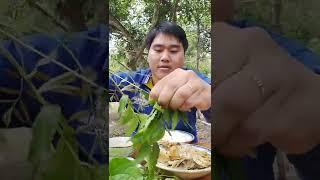 sầu đâu lá già ăn vậy mới phê càng đắng ăn càng ngon