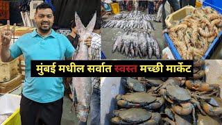 मुंबई चा या मार्केट मध्ये भेटते सर्वात स्वस्त मच्छी |Crawford Fish Market | CST Fish Market