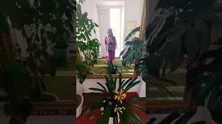 Пружанский палацик. Раннеренессансная ссельская вилла в Пружанах #shorts