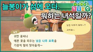 모동숲 NPC 늘봉 이는 뭐하는 NPC일까요