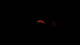 Strawberry moon captured last night #astrophotography #telescope #fullmoon