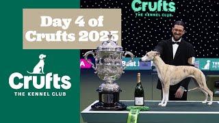 Crufts 2025, You Were Magical 