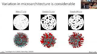 Influence on the Mechanical Fatigue Behaviour of Equine Subchondral Bone by Phd. Cand.Andrew Koshyk