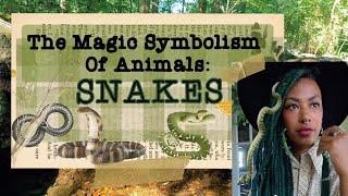 The Magic Symbolism of Animals: Snakes