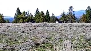 Homes for Sale - LOT 11 RIM DR - SPRAGUE RIVER, OR 97639 - Sheree Mauro