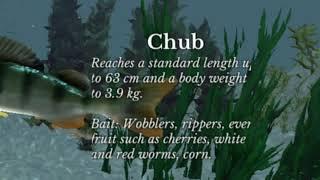 How to catch Chub (sainte-dode lake task) - Ultimate Fishing Simulator Android