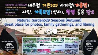 #내추럴_가든529(Natural Garden 529)사계절이 좋은 카페, 식당, 산책으로 좋은 장소 촬영(식물원, 수목원)(Botanical Garden, Arboretum)