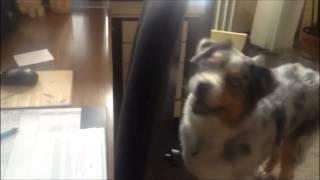 100tricks100days # 14 day Push the chair to its place / Told be a széket a helyére