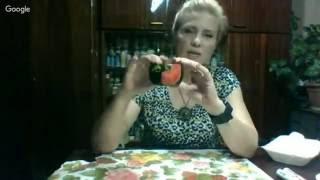 Имитация росписи Жостово  Мария Драчева.