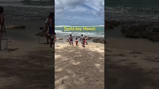 Turtle bay Hawaii #fypviral #travel  #hawaiiangetaway  #fypシ゚