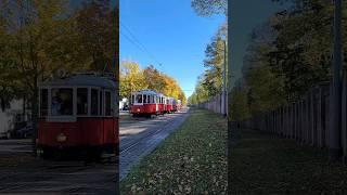 Allerheiligen Sonderzug | Wiener Grantler