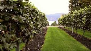 Kelowna Wine | Quail' s Gate | Tourism Kelowna