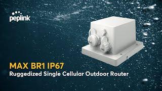 Peplink Portfolio | MAX BR1 IP67 - Ruggedized Single Cellular Outdoor Router