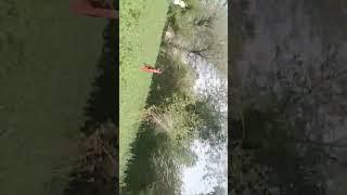 khet #vairalvideo #vlog #farming #automobile #sardikamausam #sardiyon #tarinig #t