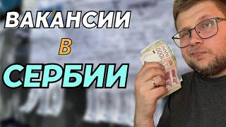 Работа в Сербии для россиян в 2024 году. Обзор вакансий не в IT