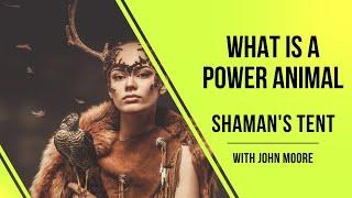 What is a power animal? A shamanic teacher answers.