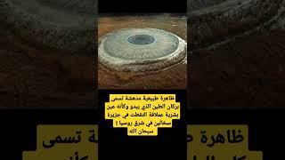 اغرب الاشياء في العالم