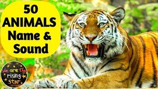 50 ANIMALS Name and Sound | English to Hindi | Animals for kids | WATRstar