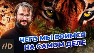 Чего мы боимся на самом деле? | Дробышевский