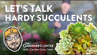 Let's Talk Hardy Succulents 🪴 Garden Guru Sean at The Gardener's Center