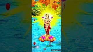 Kamal Fulawa Pe #laxmipuja #maakali #maadurga #shorts #love #viralreels #trading #song #lakshmi