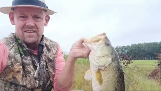 Catching! #pondfishing #largemouthbassfishing #scnaturalresources #bassfishing #scoutdoors