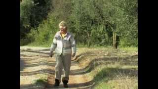 Le olive di Itri