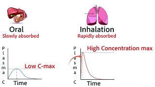 Absorption of Drugs Part 1