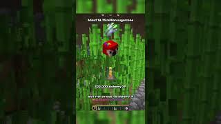 How I Got Alchemy 50 | Hypixel Skyblock