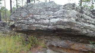 Rock Hill Preserve near Chipley, Florida