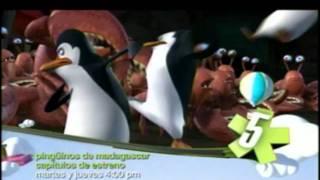 Pinguinos de Madagascar - Ahora en Canal 5 - Mexico