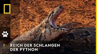 REICH DER SCHLANGEN - Der Python | National Geographic