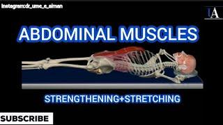 Abdominal Muscles | Strengthening & Stretching | @DrUmeAiman