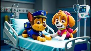 Paw Patrol The Mighty Movie | CHASE GOT SICK? What Happened!? - Very Sad Story - Rainbow 3