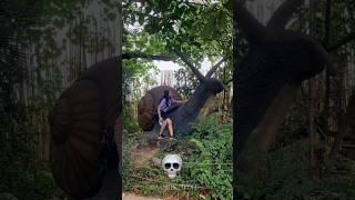 Big Insects Transformation 