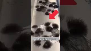 금속은 어떻게 세척할까요?